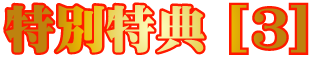【特別特典3】1年で1億稼ぐ奇跡のネットビジネス成功法!!