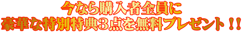 今なら購入者全員に豪華な特別特典3点をプレゼント!!